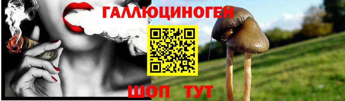 где купить   Вход с VPN  Кемерово  Псилоцибиновые грибы Magic Shrooms 